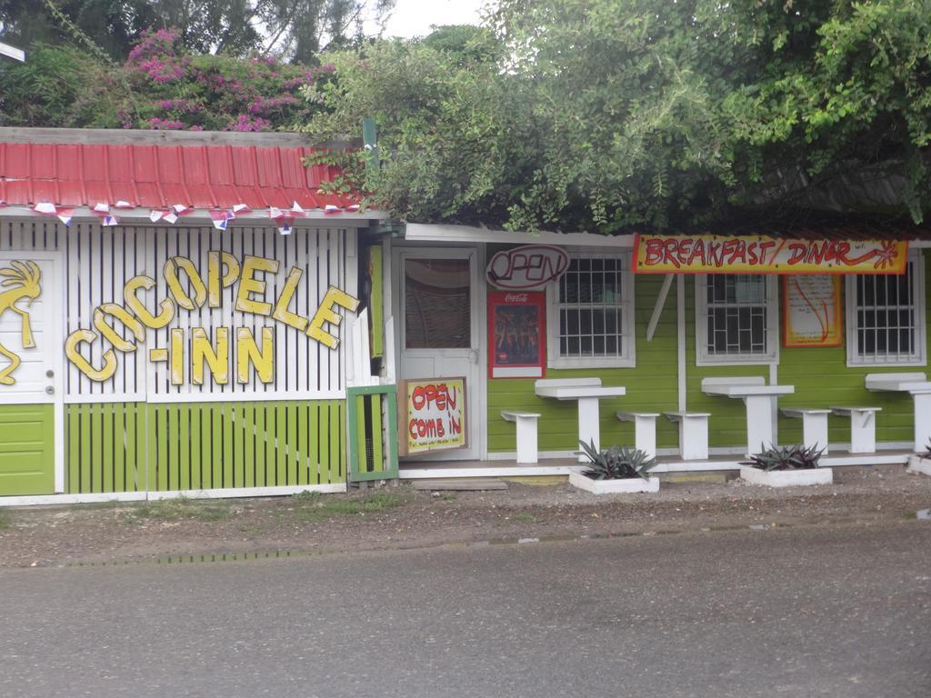 Cocopele Inn サン・イグナシオ エクステリア 写真