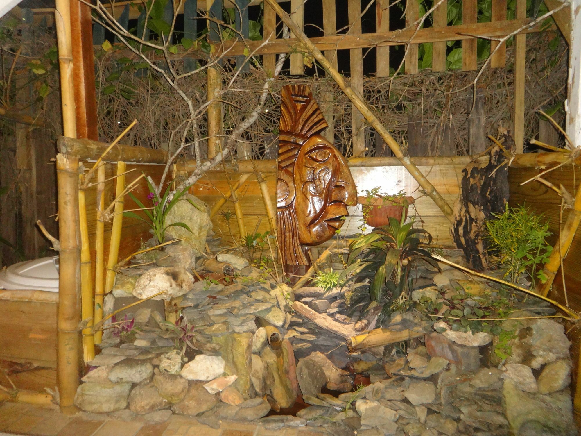 Cocopele Inn サン・イグナシオ エクステリア 写真